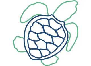a turtle design with blue lines drawn in the side and center, in the style of rough clusters