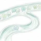 Built-in Enforcement