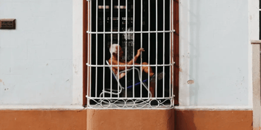 Trinidad and Tobago - whistleblowing on pause
