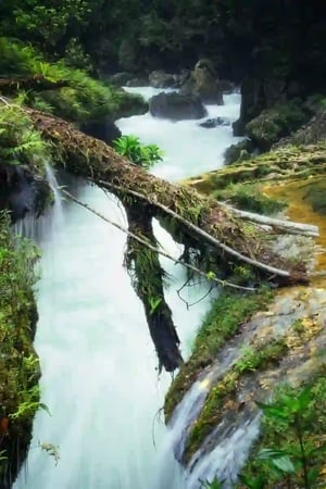 Waterfall in the rainforest with fallen tree above river