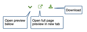 New feature: file preview